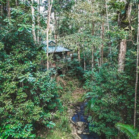 Narrows Escape Rainforest Retreat Montville Exterior foto