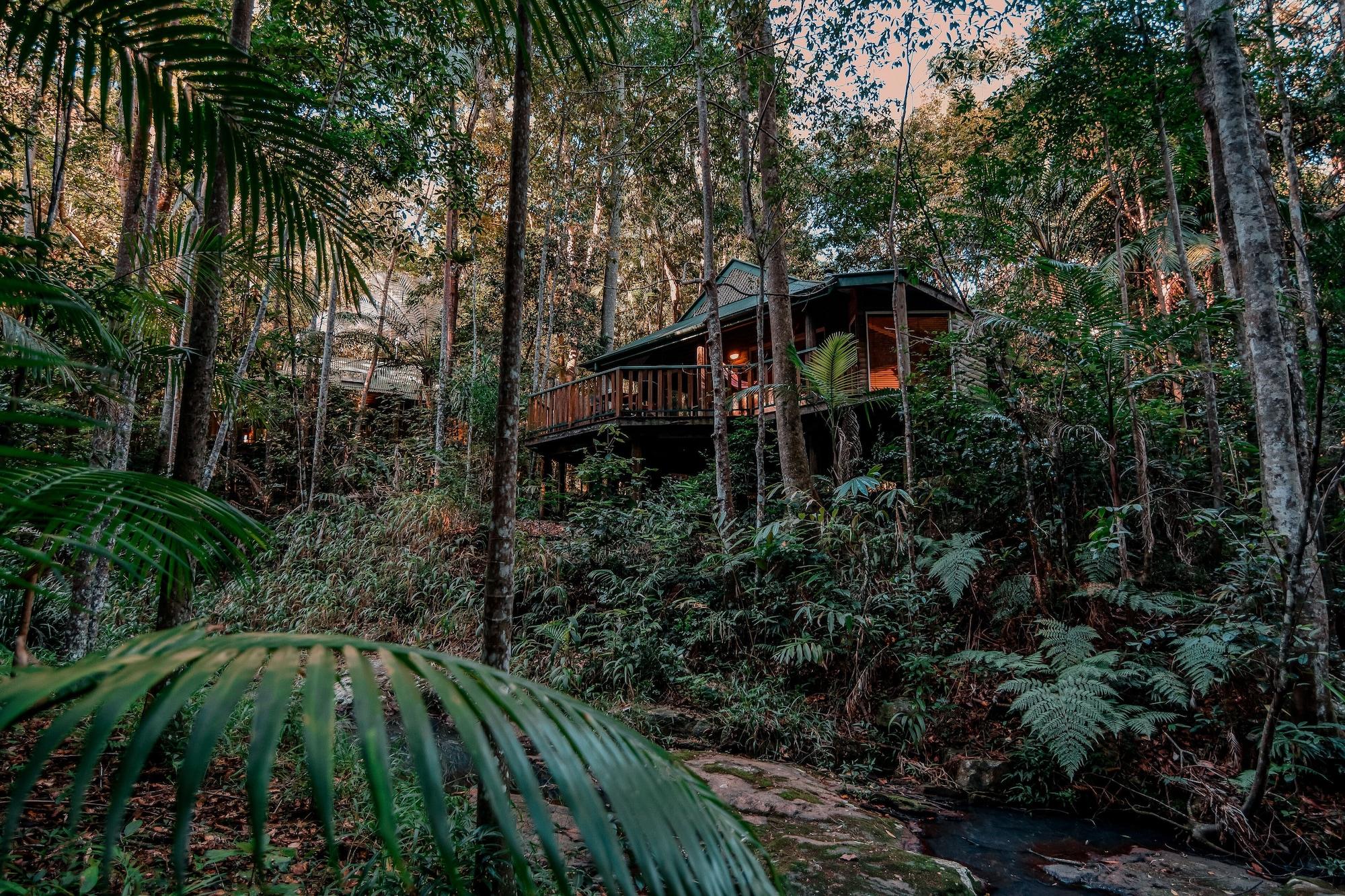 Narrows Escape Rainforest Retreat Montville Exterior foto