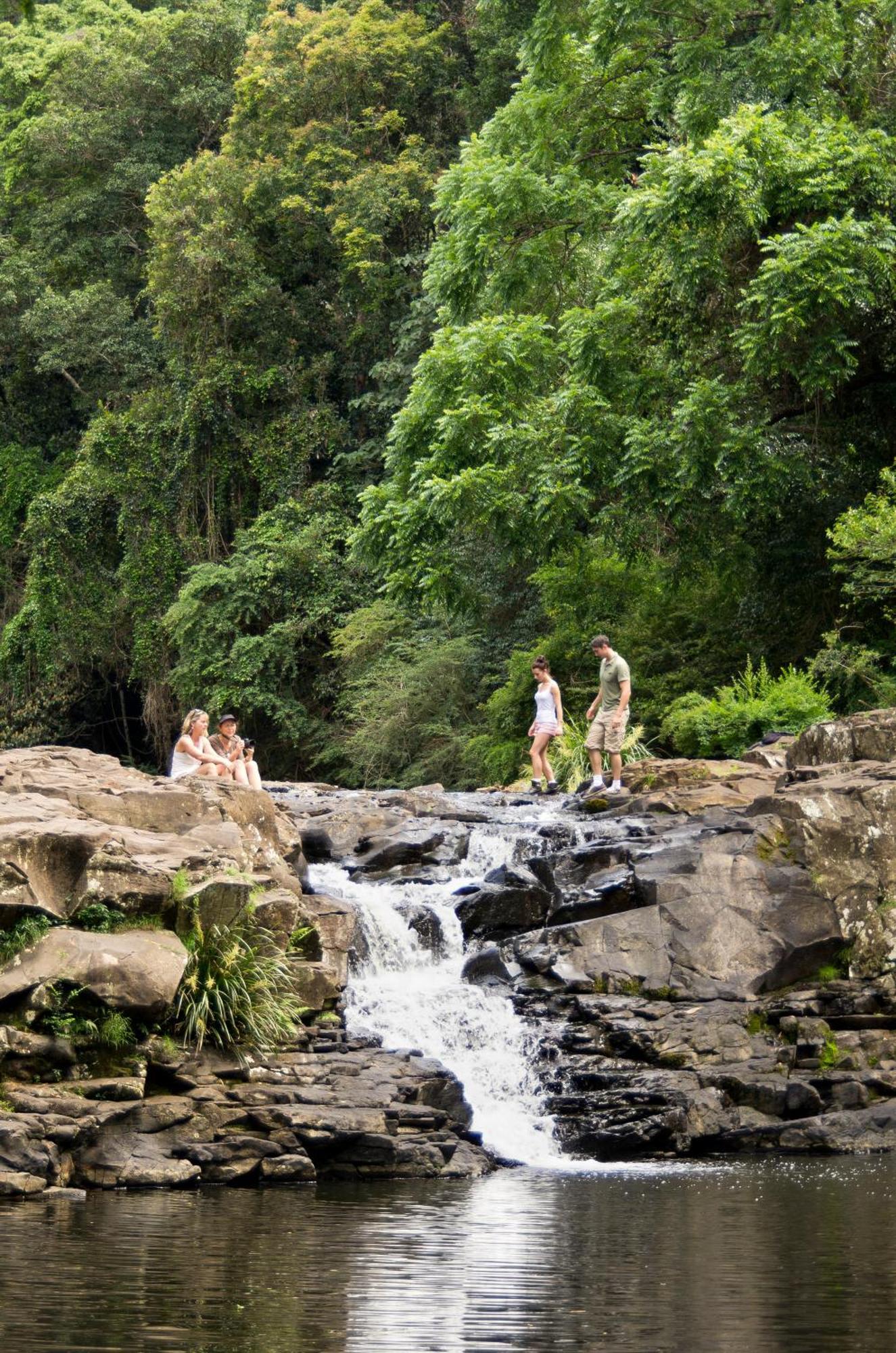 Narrows Escape Rainforest Retreat Montville Exterior foto