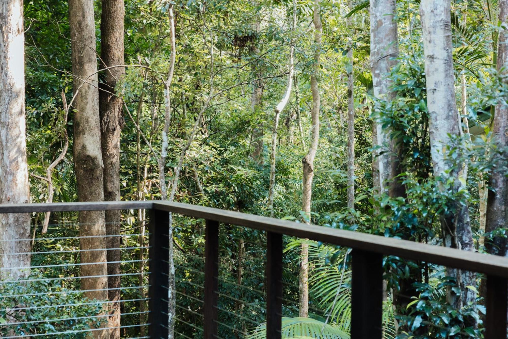 Narrows Escape Rainforest Retreat Montville Exterior foto